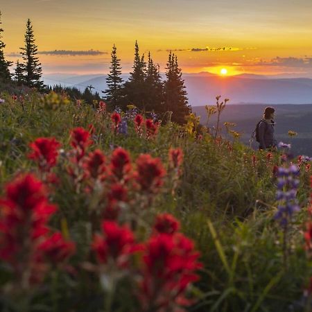 Fireside Lodge #409 By Bear Country Sun Peaks Esterno foto
