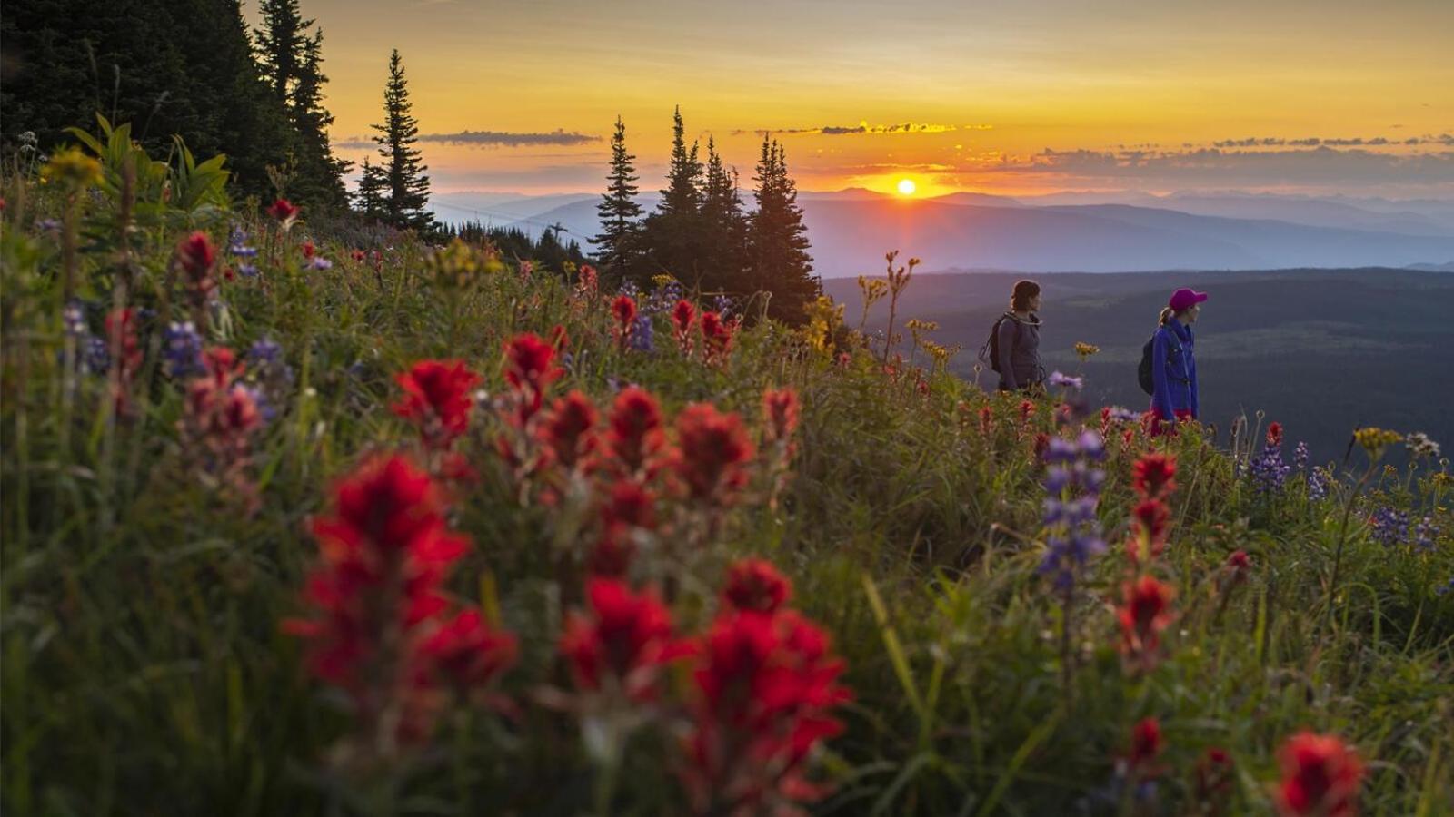 Fireside Lodge #409 By Bear Country Sun Peaks Esterno foto