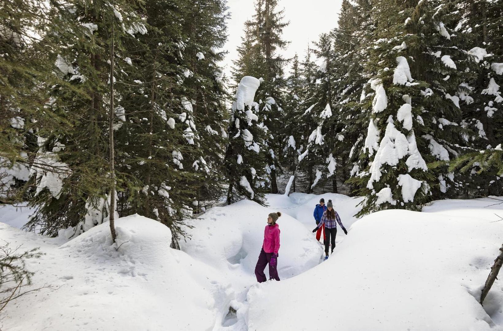 Fireside Lodge #409 By Bear Country Sun Peaks Esterno foto